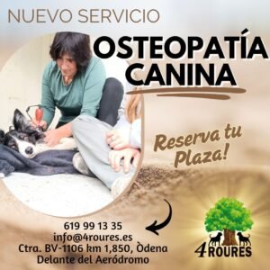 Osteopatía Canina en 4 Roures