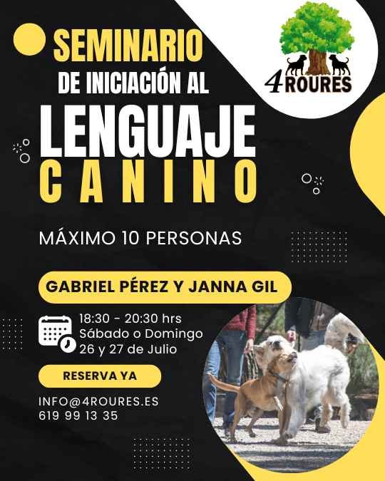 SEMINARIO